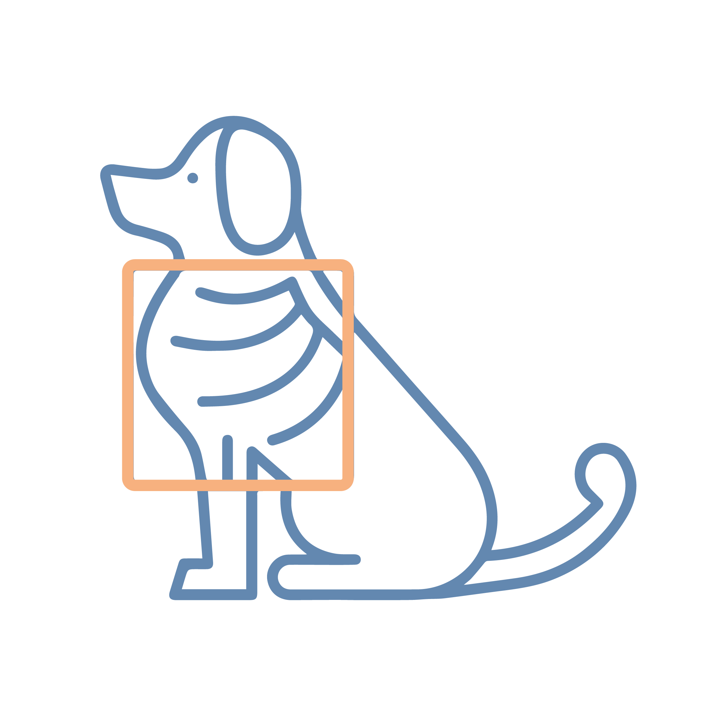 X-ray and ultrasound