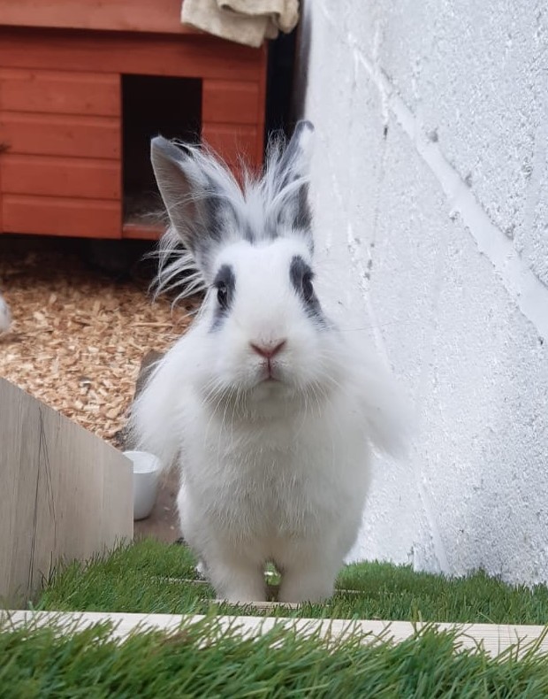 8ca88695-544d-486a-9c8d-78818f10d61e